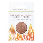 The Konjac Sponge Co The Elements Fire Purifying Volcanic Scoria Facial Sponge