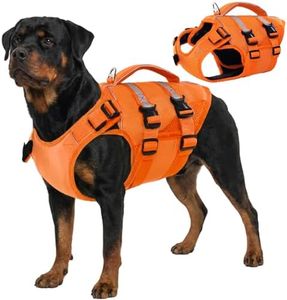 Kuoser Dog