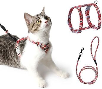 PETTOM Arn
