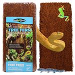 Fernwood Vivarium and Terrarium Background Panels Zealand Tree Fern | Natural and Fibrous | for Reptile Tank Backgrounds and Vivarium Backgrounds| 12x6x.06