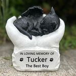 EVURU EVURUPersonalized Resin Pet Cremation Urn For Cat, Custom Pet Cat Ashes Urns, Cat Memorial Keepsake Urn Gift, Engraved With Name And Date