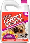 Cleenly Pet Carpet Shampoo Cleaner Solution 5L - Citrus Splash Fragrance - Safe for All Carpet Cleaning Machines, Effectively Removes Dog, Cat, Pet Odours, Urine/Wee Smells,