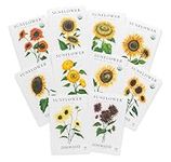 Sereniseed Sunflower Seeds Collecti