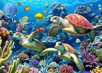 Puzzles 500 Pieces for Adults jigsaw puzzles for adults 500 Piece Puzzle Educational Games -Sea Turtle Puzzle Gifts