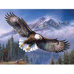 MXJSUA Diamond Painting Kits for Adults, Round Full Drill Diamond Painting Kits 5D DIY Diamond Painting by Number Kits Diamond Art Kits for Home Wall Decor Soaring Eagle 12x16 Inch