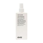 Evo Root Canal Volumizing Spray - Texture Boost Supports Roots Natural Thickening Lightweight Hair Styling Spray - 200ml / 6.8fl.oz