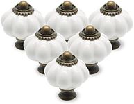 Seimneire 12pcs White Pumpkin Knobs