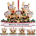 Personalized Christmas Ornament,2024 Family of 2,3,4,5,6,7,8 Reindeer Custom Christmas Tree Ornament,Customized Name Christmas Ornaments,Xmas Ornaments for Christmas Tree