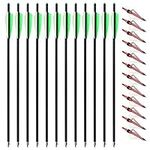 12pcs 20inch Carbon Crossbow Arrows Crossbow Bolts with 4inch Vanes and 12pcs 3 Blades Archery Broadheads 100 Grain Screw-in Arrow Heads Arrow Tips (Arrows with Red Tips)