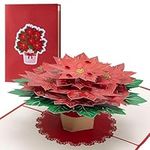 Diese Klappkarten Christmas Poinsettia