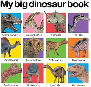 My Big Dinosaur Book