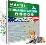 MAXTBEE 20