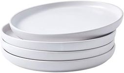 Bruntmor 11 Inch Ceramic Plate Set 