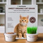 Gachwala Sweet Organic Cat Grass Kit, Easy-to-Grow Catgrass, Blend of Organic Wheatgrass, Barley & Oat - Includes Cocopeat & Container, Promotes Digestion & Reduces Hairballs of Indoor Cat