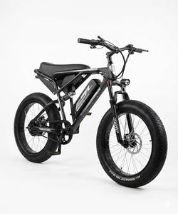 Vigor ZX E