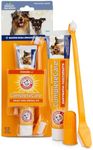 Arm & Hammer Dog Dental Kit - Enzym