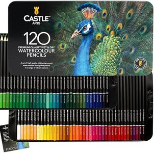 Castle Art