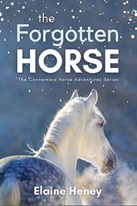 The Forgotten Horse - Book 1 in the Connemara Horse Adventure Series for Kids. The perfect gift for children age 8-12. (Connemara Adventures)