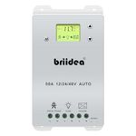 Automatic Transfer Switch, Briidea 50A 5500 Watt ATS Dual Power Controller for Off Grid Solar Wind Systems DC 12V 24V 48V AC 110V 220V