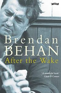 After The Wake (Classics in Irish Fiction)