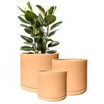Olly & Rose Rome Terracotta Plant Pots Garden Planters Set 3 Indoor Outdoor Ceramic Plant Pots Round with Saucers