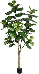 Vickerman 