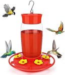 Hummingbird Feeder, Hummingbird Fee