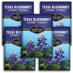 Texas Bluebonnet Seed for Planting - 5 Packets with Instructions to Plant & Grow Lupinus Texenisis in Your Home Wildflower Garden - Non-GMO Heirloom Variety- Survival Garden Seeds - Drought Resistant