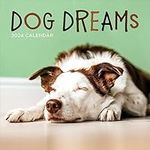 TF PUBLISHING 2024 Dog Dreams Wall 