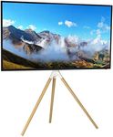 VIVO White Artistic Easel 45 to 65 inch LED LCD Screen | Studio TV Display Stand | Adjustable TV Mount with Swivel and Tripod Base (STAND-TV65AW)