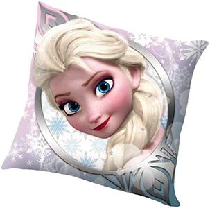 Disney Fro