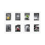 Amazon Brand - Solimo Synthetic Collage White Set Of 8 Photo Frames (8 X 10 Inch - 8), Rectangular, wall mount