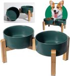 Elevated Ceramic Dog Bowl Set - Rai