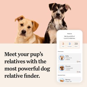 Wisdom Panel Premium Dog DNA Test – Breed & Health Screening Kit