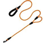 Double Handle Leash