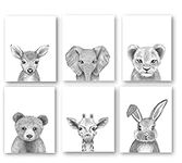 Baby Animal Nursery Artwork Prints |Set of 6| Neutral Woodland and Safari Baby Room Wall Art Decor (Size 11in x 14in) for Gender Neutral Boy or Girl Nursery- Giraffe, Elephant, Bunny, Deer, Bear, Lion Black and White Posters