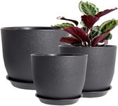 PROFIKLA 30cm, 25cm,23cm Plastic Plant Pots, Pack of 3 Planters, Large Plant Pots with Drainage Holes and Saucers, Modern Decorative Flower Pots, Black