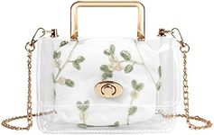 Clear Shoulder Bag Purse, 2 in 1 Transparent Crossbody Bag Jelly Handbag, Polyvinyl Chloride Top Handle Chain Clutch for Women