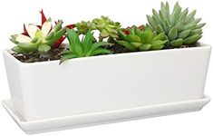 SQOWL 10 inch Rectangular White Cer