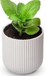 WHOLE HOUSEWARES Ceramic Pots for Plants with Drainage Holes - Elegant Modern Planter with Air Circulation for Root Rot Prevention - Small Planters for Indoor Plants & Outdoor Plants - 5.5 inch