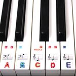 Keyboard or Piano Stickers 61 key set For Kids CLEAR, REMOVABLE. Learn to play THE FUN WAY PSMW61. 36 Stickers in a pack.