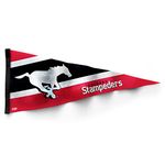 The Sports Vault by Inglasco CFL Calgary Stampeders Collector Pennant Team Color