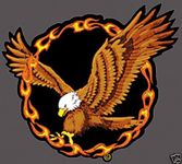 Fire Eagle Sew-on Iron-on Embroidered Patch Biker Bike Badge