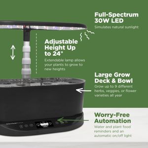 AeroGarden Bounty Basic Indoor Garden, Black – Hydroponic Grow System