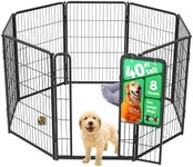 FXW Homeplus Unleashed Indoor Dog P