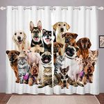 Dog Cat Print Curtains for Bedroom Living Room 3D Animal Pattern Curtains for Kids Boys Girls Cute Puppy Kitten Windows Drapes Luxury Soft Room Decoration, W46*L54