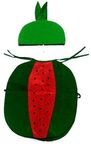 Flipworld Watermelon Fruit Costume Only Cutout With Cap For Events - Metal, Multicolor