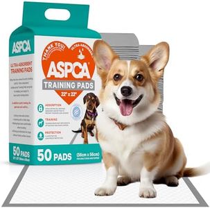 ASPCA Dog 