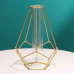 IUIBMI Metal Frame Vase Geometric Glass Flower Vase with Geometric Metal Stand, Modern Creative Clear Tube Glass Planter Terrariums for Flowers Hydroponics Kitchen Shelf Home Decor