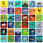 36 Pair Animal Matching Game Flash Cards Erasable (Each Measures 2” X 2”)